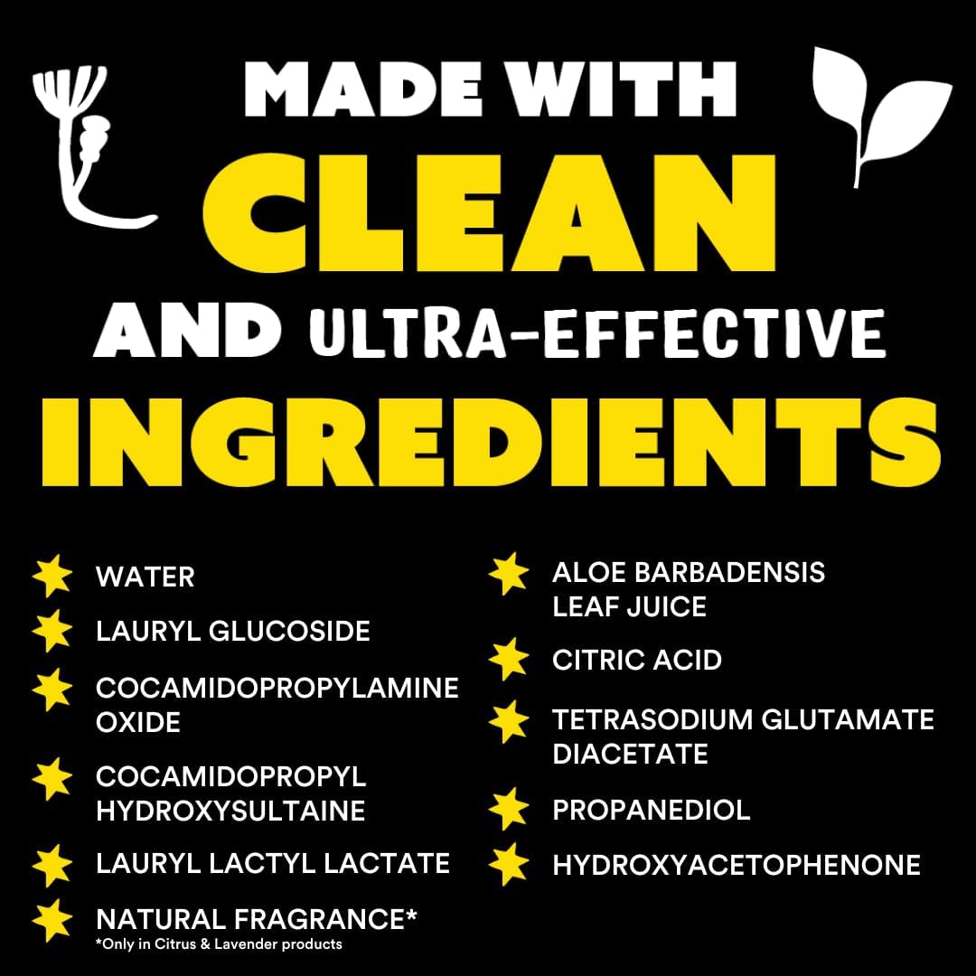 Molly's Suds Liquid Dish Soap | Clean, Simple Ingredients | Extra Scrubbing Power | Citrus Scent, 24 oz - 2 Pack