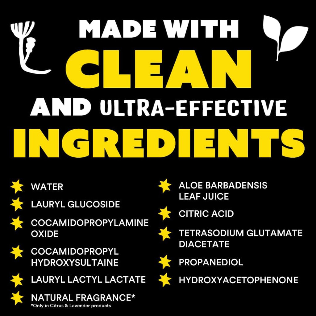 Molly's Suds Liquid Dish Soap | Clean, Simple Ingredients | Extra Scrubbing Power | Citrus Scent, 24 oz - 2 Pack
