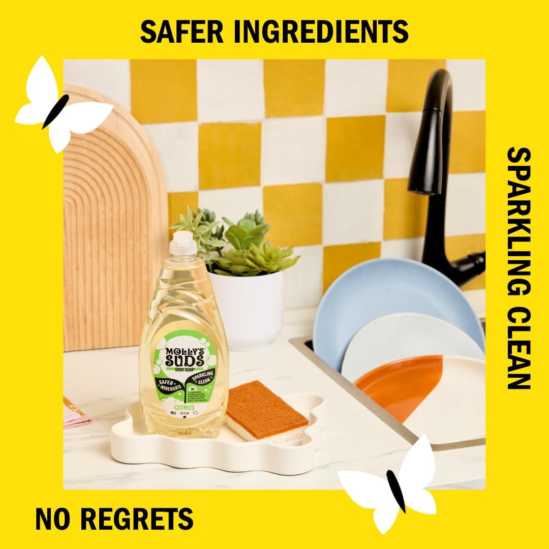 Molly's Suds Liquid Dish Soap | Clean, Simple Ingredients | Extra Scrubbing Power | Citrus Scent, 24 oz - 2 Pack